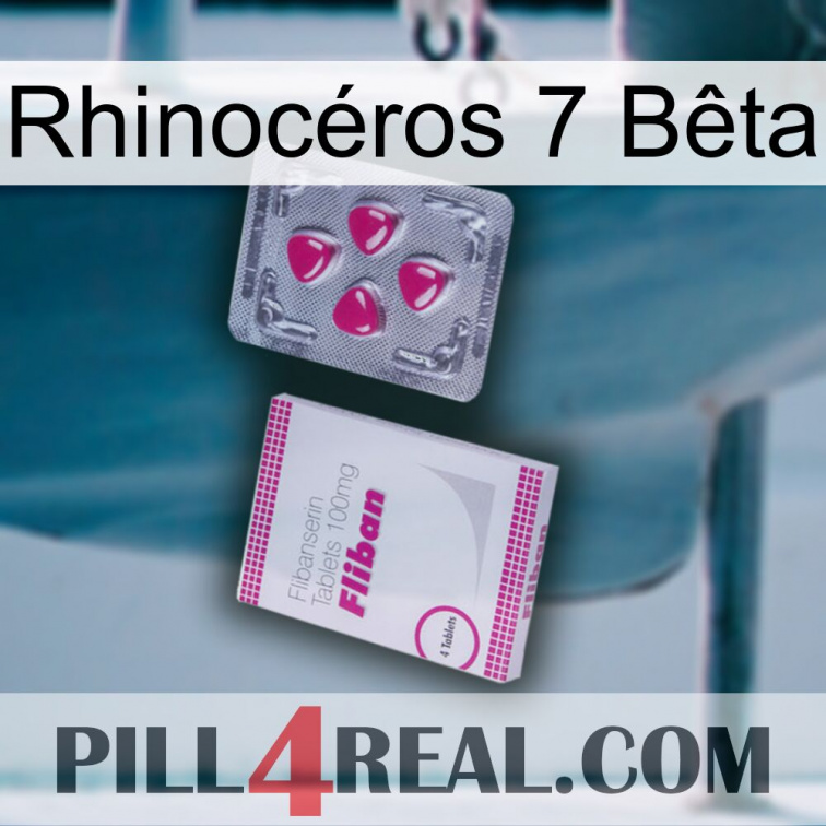Rhinocéros 7 Bêta 32